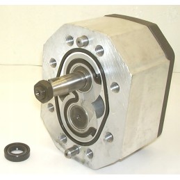 Pagrindinis fordson major siurblys