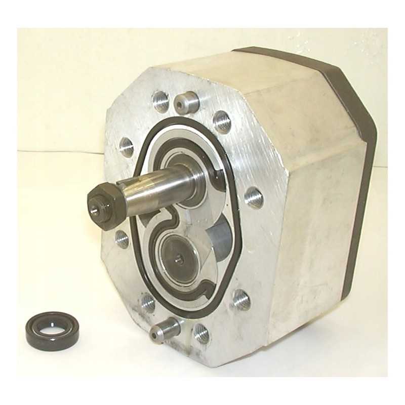 Pagrindinis fordson major siurblys