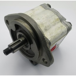 C10l thwaites hidraulinis siurblys 31920