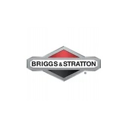 Kramp Briggs Stratton alkūninis velenas