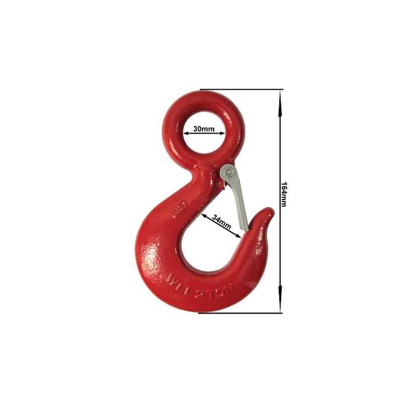 Tvirtas kablys su apsauga 2000 kg dirbtuvėms