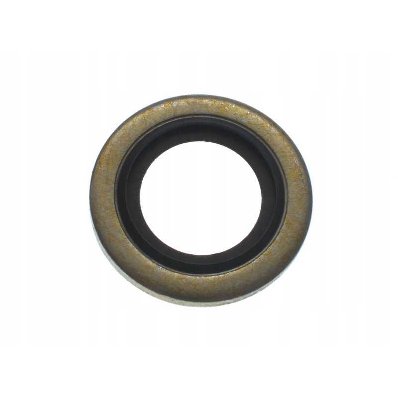 Metalinė ir guminė poveržlė