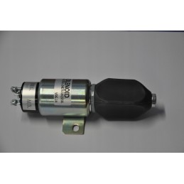 Gesinimo ritė cummins 1751 24e7u1b1s5a 24v