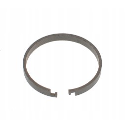 Žiedinis katinas 8i4498