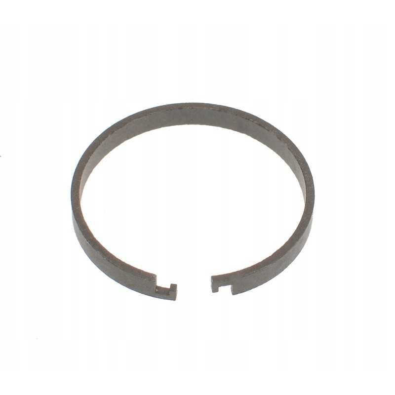 Žiedinis katinas 8i4498