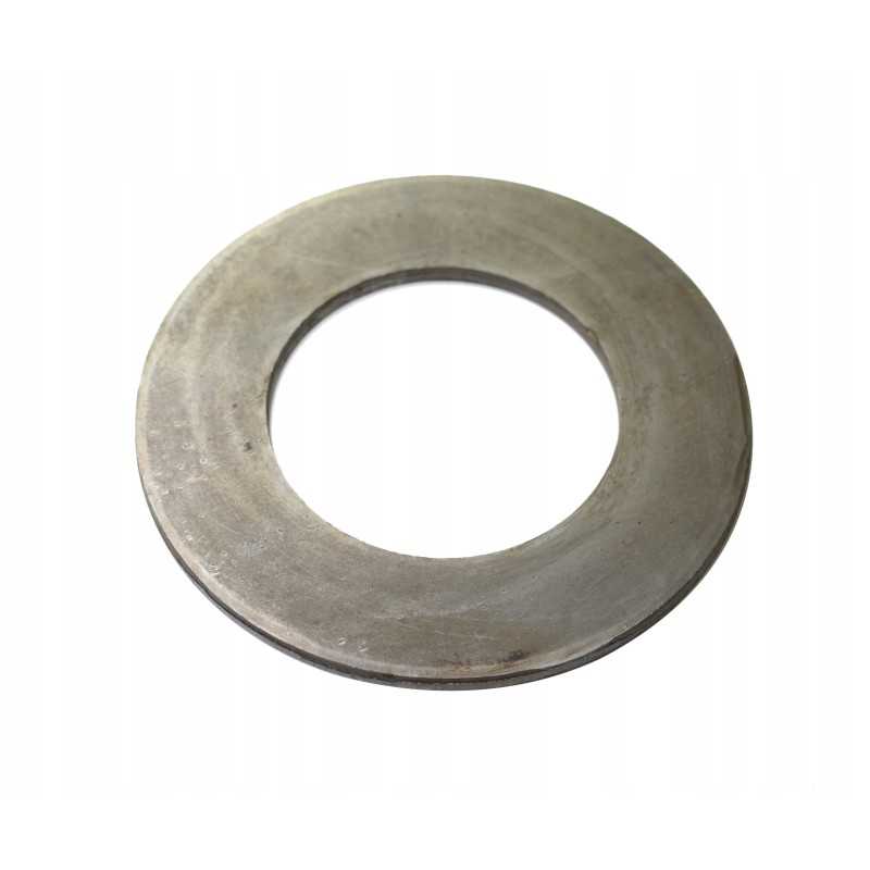 Stumdoma poveržlė katė 9r0366