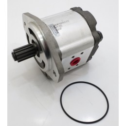 Casappa keitimas 019985gd