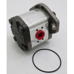 Casappa keitimas 019985gd