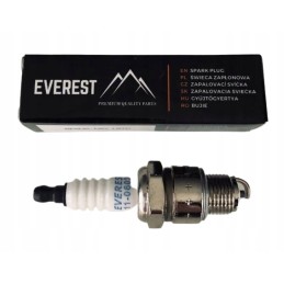 Everest bp6hs n8y l8yc uždegimo žvakė