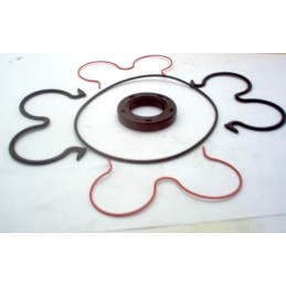 Hidraulinis variklis 5cm11