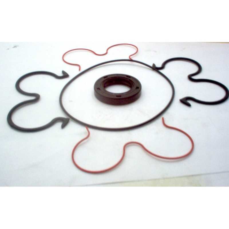 Hidraulinis variklis 5cm11