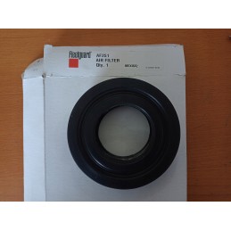 AF251 fleetguard oro filtras