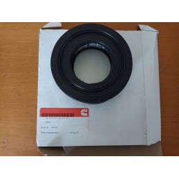 AF251 fleetguard oro filtras