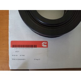 AF251 fleetguard oro filtras