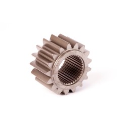 Cat pavaros žvaigždutė 8k6282