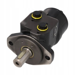 WP250 serijos hidraulinis variklis