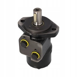 WP250 serijos hidraulinis variklis