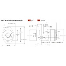 WP250 serijos hidraulinis variklis