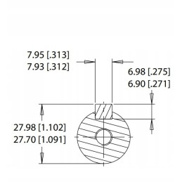 WP250 serijos hidraulinis variklis