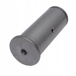 Vairo pavaros kaištis