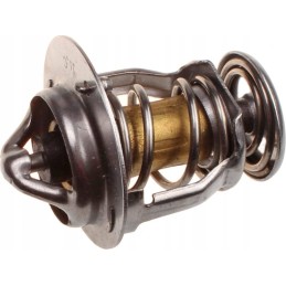 Termostatas Yanmar 3tne84 3tne88 3tnv82 129155 49801