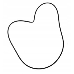 O žiedo sandariklio katė 8u5927