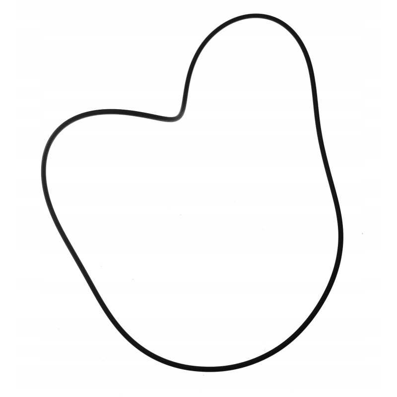 O žiedo sandariklio katė 8u5927