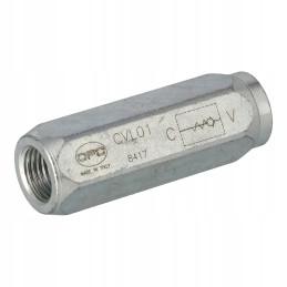 Atbulinis vožtuvas linijoje 1 4 bsp 0 5 bar