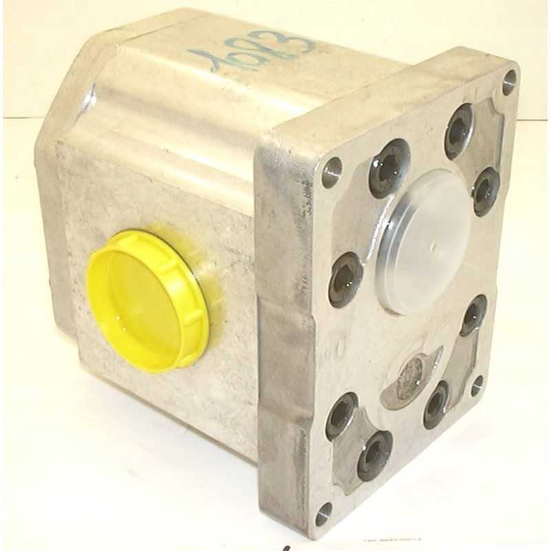 Snp3 38d sc11 e hidraulinis krumpliaračių siurblys