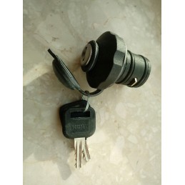 Variklio alyvos pildymo angos dangtelis mf 3 4 2487854 35784123