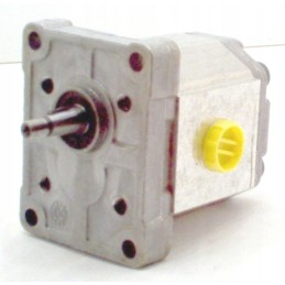 Snp1 3 8s c001 f hidraulinės pavaros siurblys