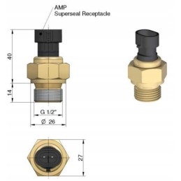 Temperatūros jutiklis kaip santechnikas 45 55 c 1 2