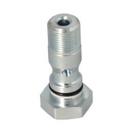 Bandžo varžtas „Palfinger“.