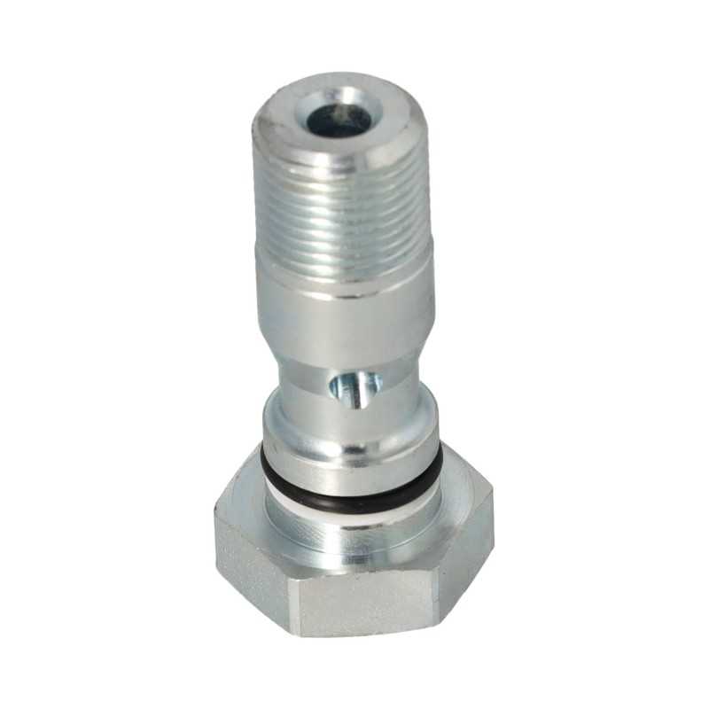 Bandžo varžtas „Palfinger“.