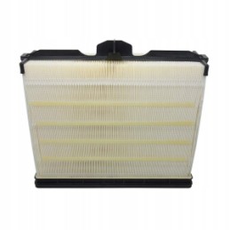 Oro filtro af55014 sa16784 keitimas