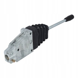 Morsea svirtis 3832694