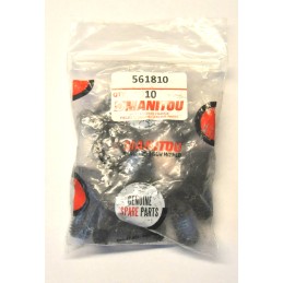 Manitou šešiabriaunis varžtas 161810 kp