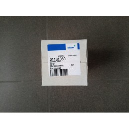 Kuro filtras 01181060 originalus Deutz pirminis įdėklas