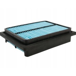 Salono filtrai Donaldson P500138