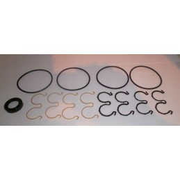 Hidraulinis variklis skp2 skp2a01