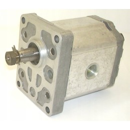 Snp2 c25l co41 f hidraulinės pavaros siurblys