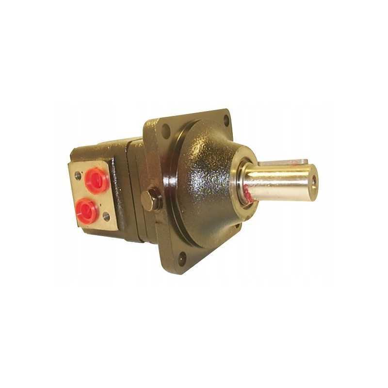 Hidraulinis variklis wmsw100p