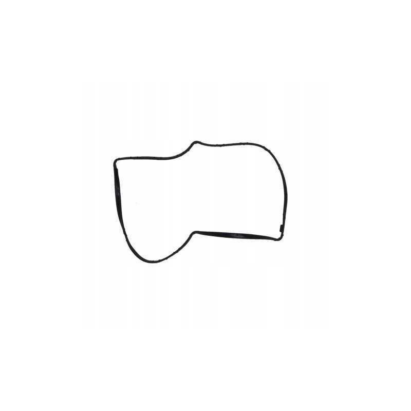 Užsandarinkite iveco variklio alsuoklį