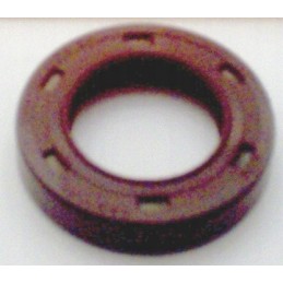 Hidraulinis variklis snp2a01v