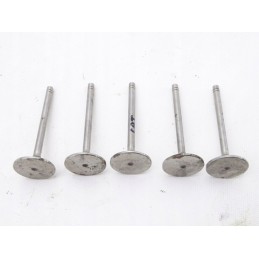 Cat vikšro siurbimo vožtuvas 6n9915 13 5 cm 51 25 mm