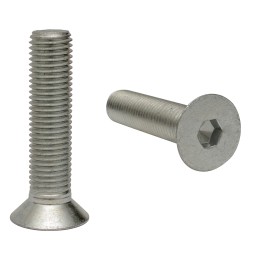 Varžtas pritvirtinti dantį