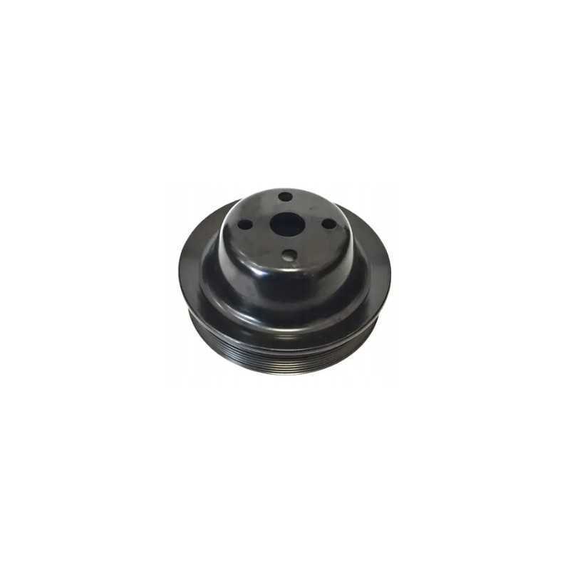 Cummins skriemulys 3914459