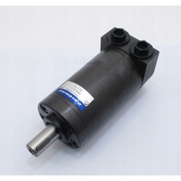 Hidraulinis variklis wmm50s