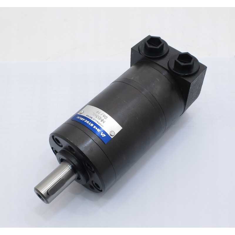 Hidraulinis variklis wmm50s