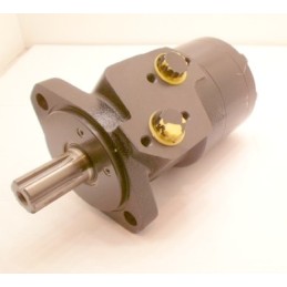 Hidraulinis variklis wwr060a6304b